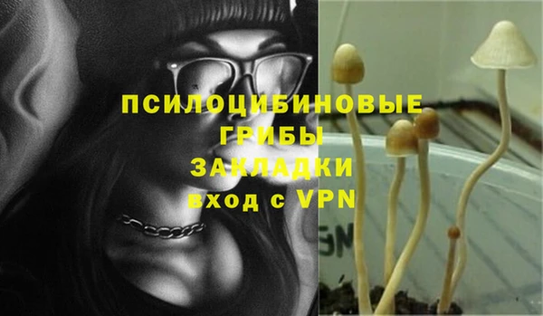 дурь Медногорск