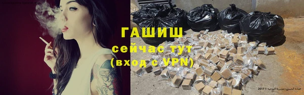 индика Артём