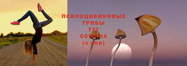дмт Михайловск